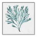 Picture of Teal Coral II  _GroupedProduct_Square_Canvas_Framed_