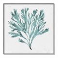 Picture of Teal Coral II  _GroupedProduct_Square_Canvas_Framed_