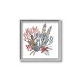 Picture of Ocean Coral l _GroupedProduct_Square_Canvas_Framed_