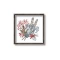 Picture of Ocean Coral l _GroupedProduct_Square_Canvas_Framed_