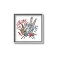 Picture of Ocean Coral l _GroupedProduct_Square_Canvas_Framed_