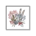 Picture of Ocean Coral l _GroupedProduct_Square_Canvas_Framed_