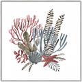 Picture of Ocean Coral l _GroupedProduct_Square_Canvas_Framed_