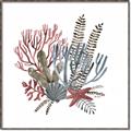 Picture of Ocean Coral l _GroupedProduct_Square_Canvas_Framed_