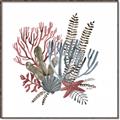 Picture of Ocean Coral l _GroupedProduct_Square_Canvas_Framed_