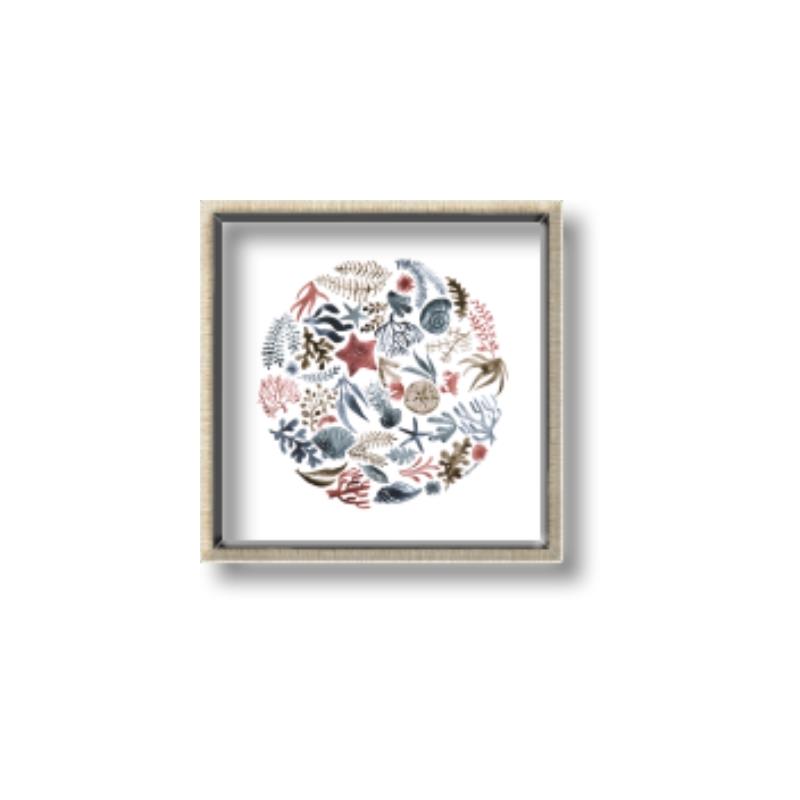 Picture of Coral circle I _GroupedProduct_Square_Canvas_Framed_