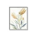 Picture of Soft Tulips  I _GroupedProduct_Rectangle_Portrait_Canvas_Framed_