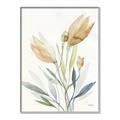 Picture of Soft Tulips  I _GroupedProduct_Rectangle_Portrait_Canvas_Framed_