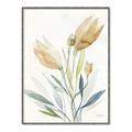 Picture of Soft Tulips  I _GroupedProduct_Rectangle_Portrait_Canvas_Framed_