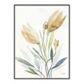 Picture of Soft Tulips  I _GroupedProduct_Rectangle_Portrait_Canvas_Framed_