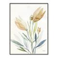 Picture of Soft Tulips  I _GroupedProduct_Rectangle_Portrait_Canvas_Framed_