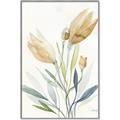 Picture of Soft Tulips  I _GroupedProduct_Rectangle_Portrait_Canvas_Framed_