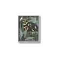 Picture of Jungle Safari I _GroupedProduct_Rectangle_Portrait_Canvas_Framed_