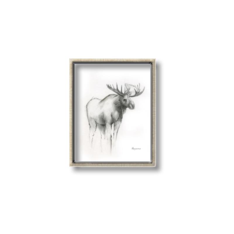 Picture of Moose Charcoal _GroupedProduct_Rectangle_Portrait_Canvas_Framed_