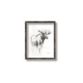 Picture of Moose Charcoal _GroupedProduct_Rectangle_Portrait_Canvas_Framed_