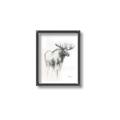 Picture of Moose Charcoal _GroupedProduct_Rectangle_Portrait_Canvas_Framed_