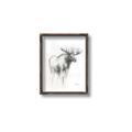 Picture of Moose Charcoal _GroupedProduct_Rectangle_Portrait_Canvas_Framed_