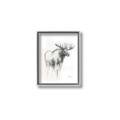 Picture of Moose Charcoal _GroupedProduct_Rectangle_Portrait_Canvas_Framed_