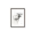 Picture of Moose Charcoal _GroupedProduct_Rectangle_Portrait_Canvas_Framed_