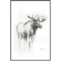 Picture of Moose Charcoal _GroupedProduct_Rectangle_Portrait_Canvas_Framed_