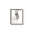 Picture of Ram Charcoal _GroupedProduct_Rectangle_Portrait_Canvas_Framed_