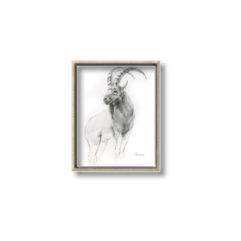 Picture of Ram Charcoal _GroupedProduct_Rectangle_Portrait_Canvas_Framed_