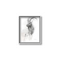 Picture of Ram Charcoal _GroupedProduct_Rectangle_Portrait_Canvas_Framed_