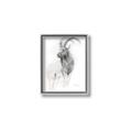 Picture of Ram Charcoal _GroupedProduct_Rectangle_Portrait_Canvas_Framed_