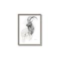 Picture of Ram Charcoal _GroupedProduct_Rectangle_Portrait_Canvas_Framed_