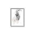 Picture of Ram Charcoal _GroupedProduct_Rectangle_Portrait_Canvas_Framed_