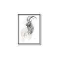 Picture of Ram Charcoal _GroupedProduct_Rectangle_Portrait_Canvas_Framed_