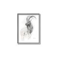 Picture of Ram Charcoal _GroupedProduct_Rectangle_Portrait_Canvas_Framed_