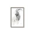 Picture of Ram Charcoal _GroupedProduct_Rectangle_Portrait_Canvas_Framed_