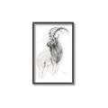 Picture of Ram Charcoal _GroupedProduct_Rectangle_Portrait_Canvas_Framed_