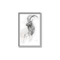 Picture of Ram Charcoal _GroupedProduct_Rectangle_Portrait_Canvas_Framed_