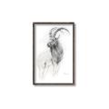 Picture of Ram Charcoal _GroupedProduct_Rectangle_Portrait_Canvas_Framed_