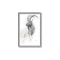 Picture of Ram Charcoal _GroupedProduct_Rectangle_Portrait_Canvas_Framed_