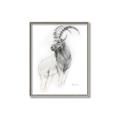 Picture of Ram Charcoal _GroupedProduct_Rectangle_Portrait_Canvas_Framed_