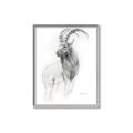 Picture of Ram Charcoal _GroupedProduct_Rectangle_Portrait_Canvas_Framed_