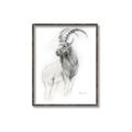Picture of Ram Charcoal _GroupedProduct_Rectangle_Portrait_Canvas_Framed_
