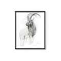 Picture of Ram Charcoal _GroupedProduct_Rectangle_Portrait_Canvas_Framed_