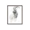 Picture of Ram Charcoal _GroupedProduct_Rectangle_Portrait_Canvas_Framed_