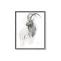 Picture of Ram Charcoal _GroupedProduct_Rectangle_Portrait_Canvas_Framed_