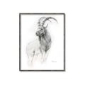 Picture of Ram Charcoal _GroupedProduct_Rectangle_Portrait_Canvas_Framed_