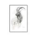 Picture of Ram Charcoal _GroupedProduct_Rectangle_Portrait_Canvas_Framed_