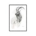 Picture of Ram Charcoal _GroupedProduct_Rectangle_Portrait_Canvas_Framed_