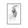 Picture of Ram Charcoal _GroupedProduct_Rectangle_Portrait_Canvas_Framed_