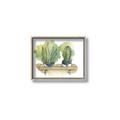 Picture of Splashed Cactus I  _GroupedProduct_Rectangle_Landscape_Canvas_Framed_