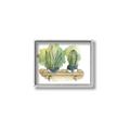 Picture of Splashed Cactus I  _GroupedProduct_Rectangle_Landscape_Canvas_Framed_