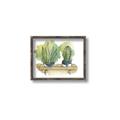 Picture of Splashed Cactus I  _GroupedProduct_Rectangle_Landscape_Canvas_Framed_